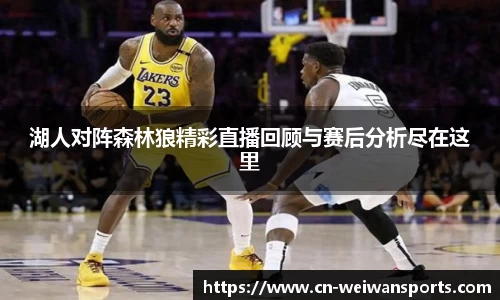 微玩体育平台